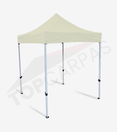 Carpa Master 3x3