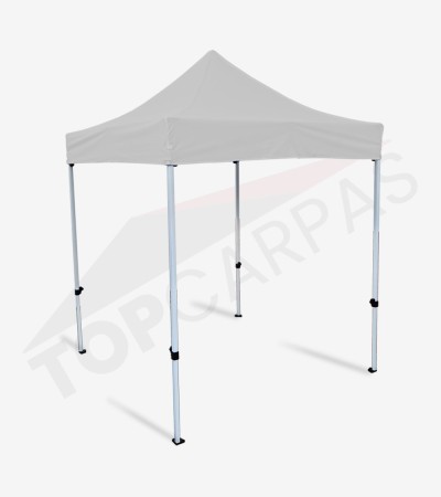 Carpa Master 3x3