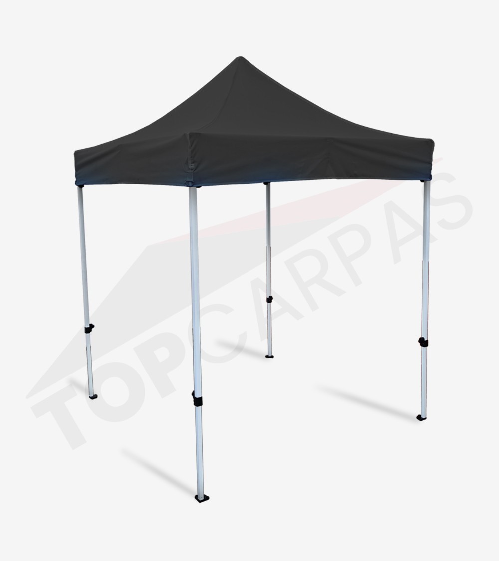 Carpa Master 3x3