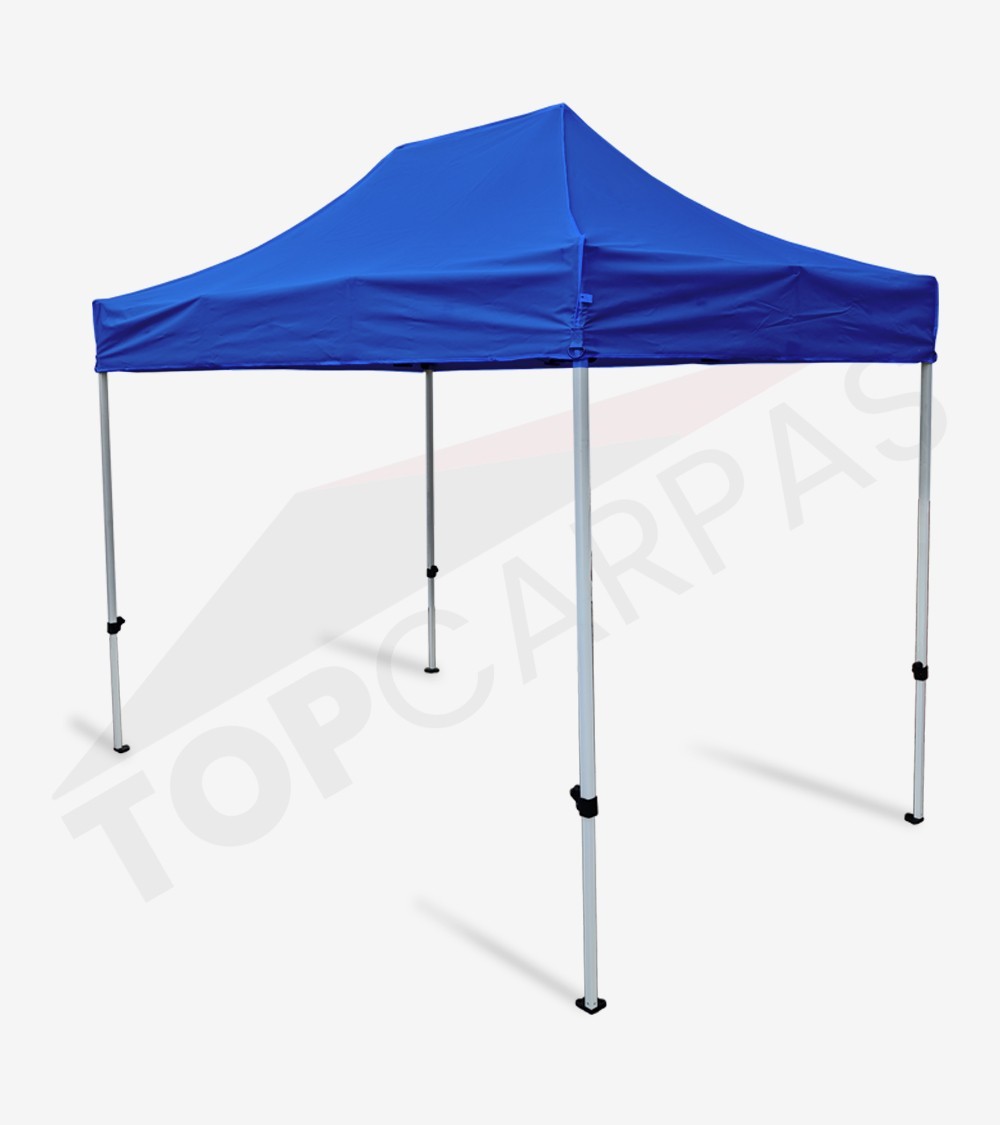 Carpa Master 2x3