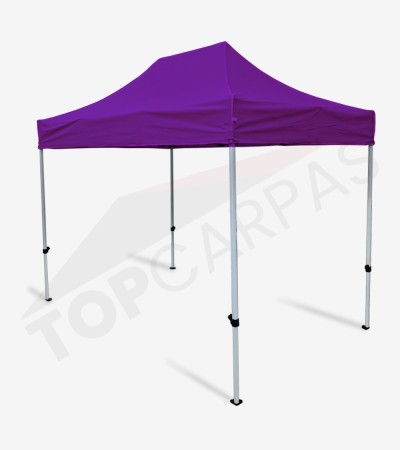 Carpa Master 2x3