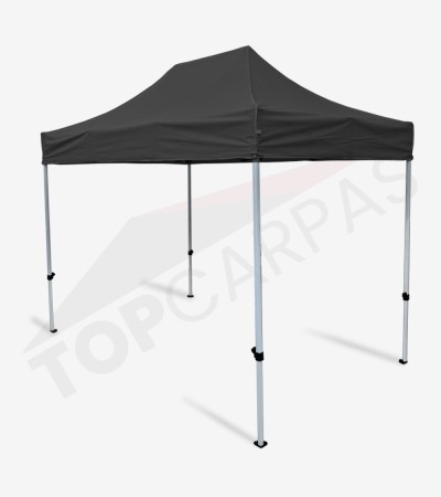 Carpa Master 2x3