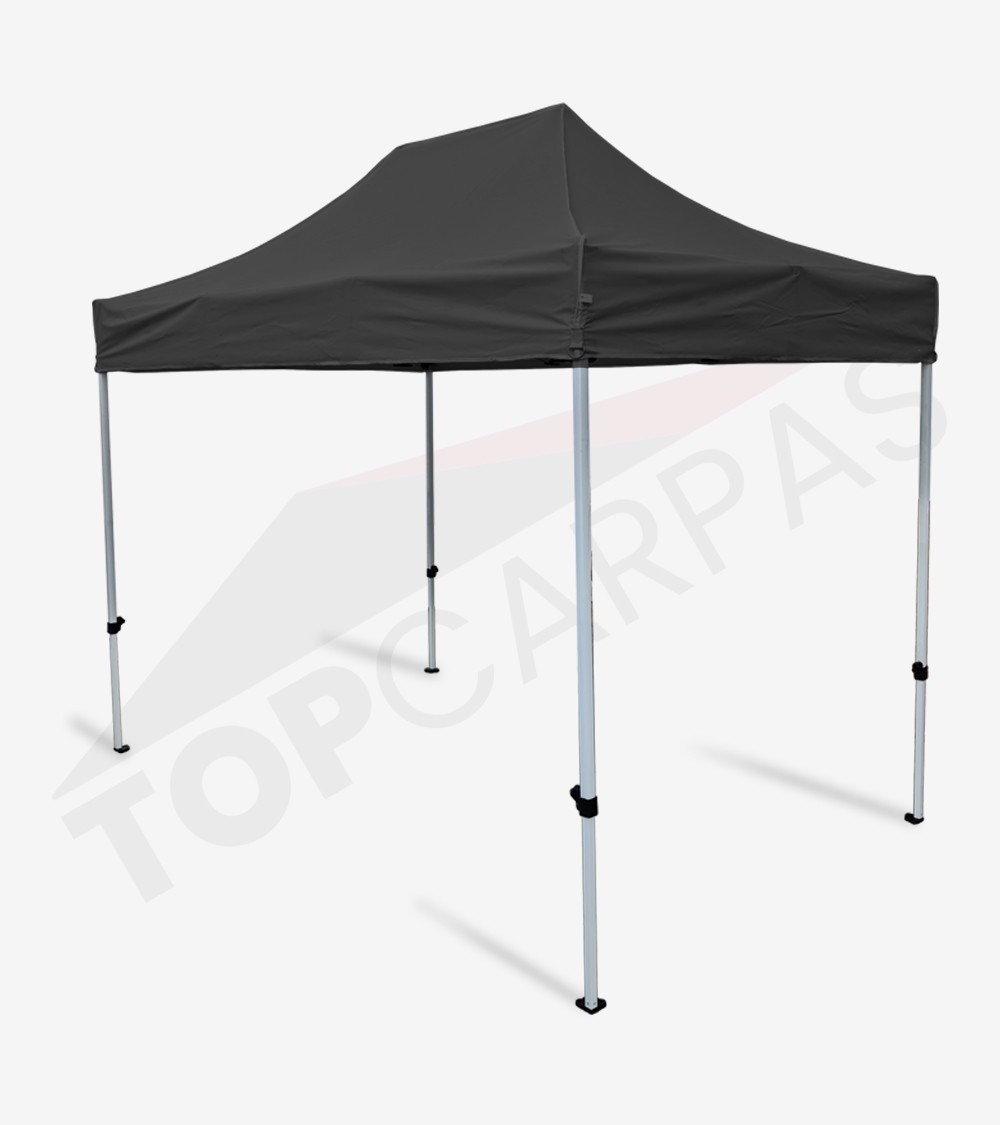Carpa Master 2x3