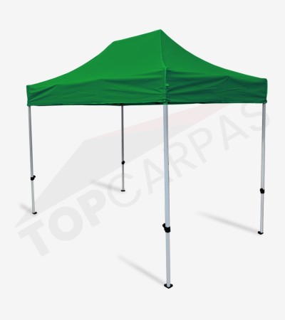 Carpa Master 2x3