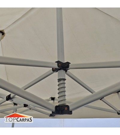 Carpa Master 2x3